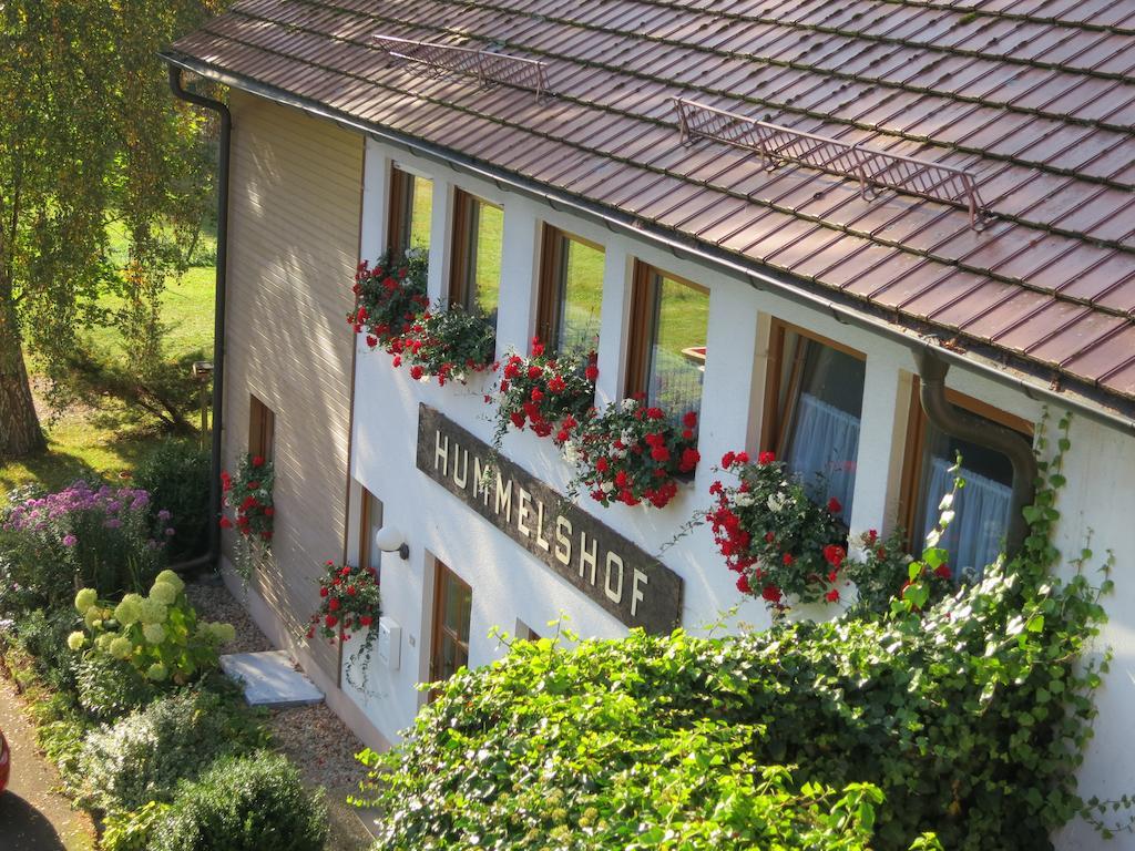 Hummelshof Apartment Pottenstein Exterior photo